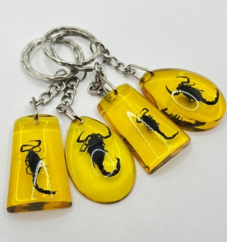 Brelok z skorpionem w żywicy