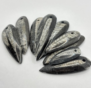 Zawieszka z ortocerasem