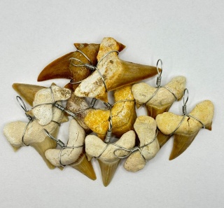 Zawieszka z zębem rekina - średnia