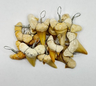 Zawieszka z zębem rekina - mała