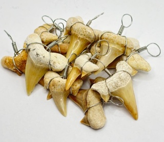 Zawieszka z zębem rekina - mała