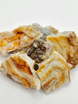 Chalcedon forma krysztaliczna