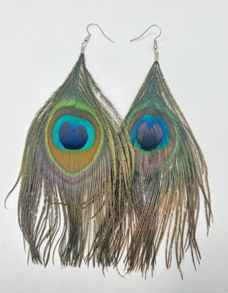 Kolczyki z pióra pawia