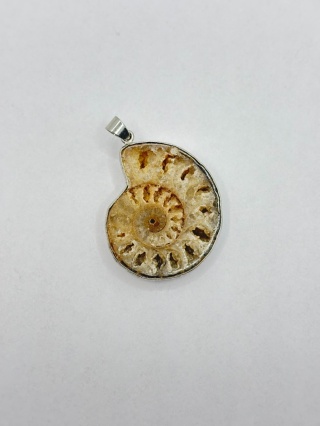 Zawieszka z amonitem