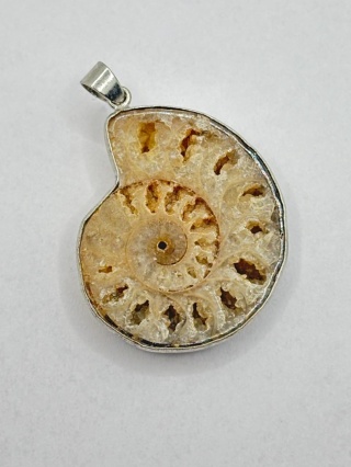 Zawieszka z amonitem