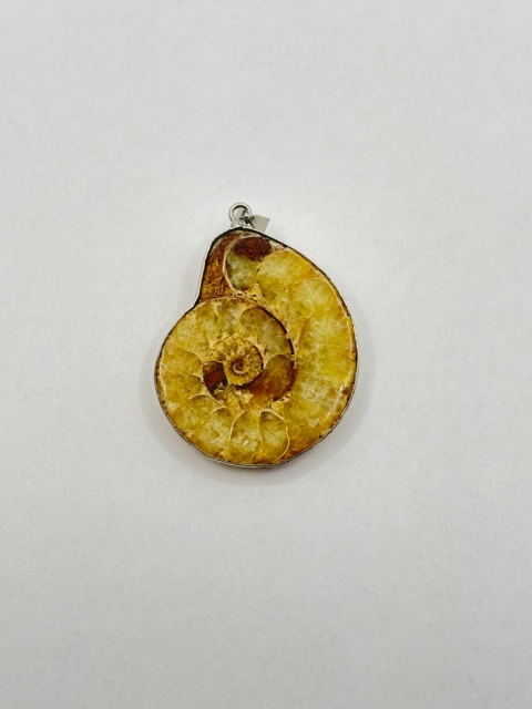 Zawieszka z amonitem
