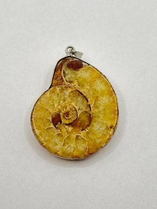 Zawieszka z amonitem