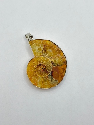 Zawieszka z amonitem