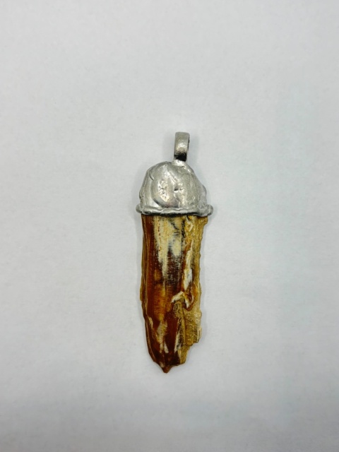 Zawieszka z skamieniałego drewna