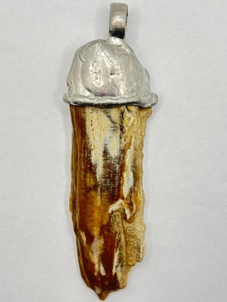 Zawieszka z skamieniałego drewna