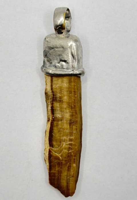 Zawieszka z skamieniałego drewna