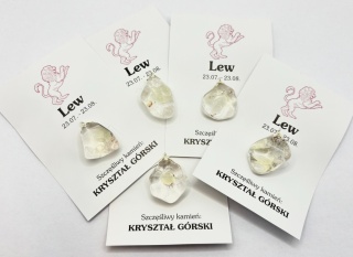 Wisiorek dla znaku zodiaku lew