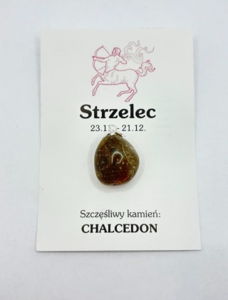 Wisiorek dla znaku zodiaku strzelec