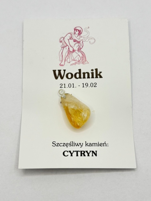 Wisiorek dla znaku zodiaku wodnik