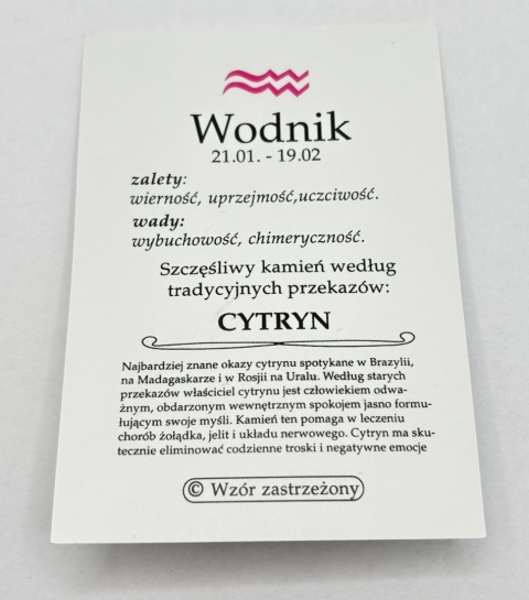 Wisiorek dla znaku zodiaku wodnik