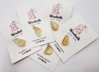 Wisiorek dla znaku zodiaku wodnik