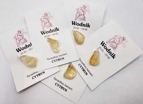 Wisiorek dla znaku zodiaku wodnik