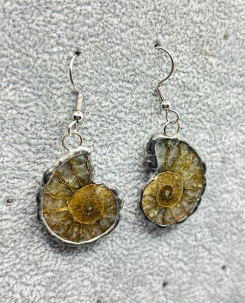 Kolczyki z amonitem