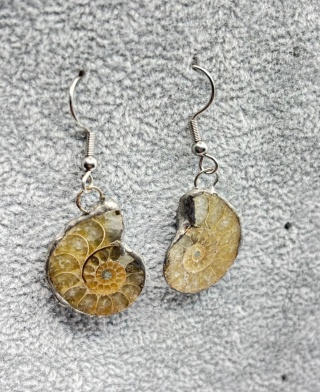 Kolczyki z amonitem