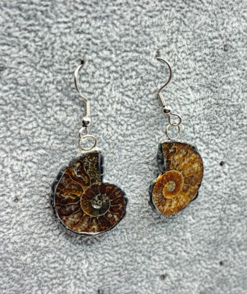 Kolczyki z amonitem