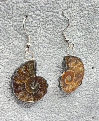 Kolczyki z amonitem