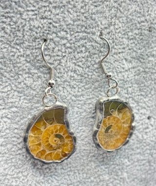 Kolczyki z amonitem