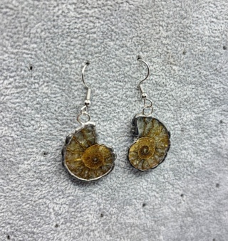 Kolczyki z amonitem