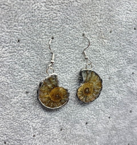 Kolczyki z amonitem