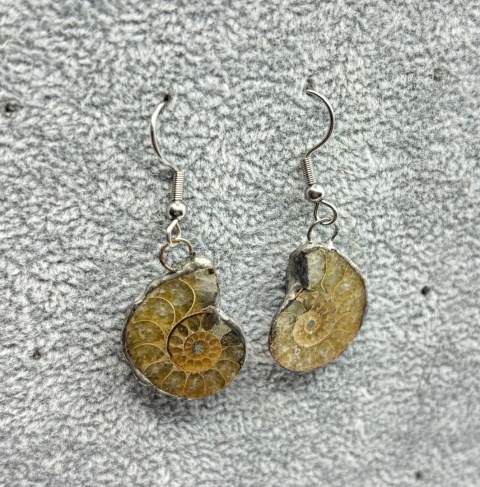 Kolczyki z amonitem