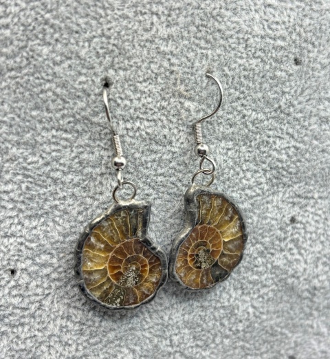 Kolczyki z amonitem