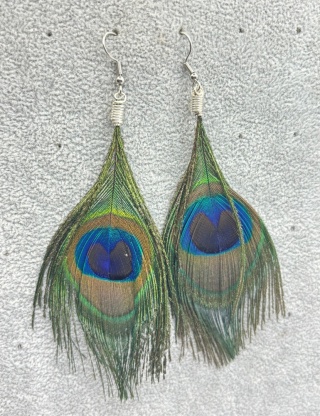 Kolczyki z pióra pawia