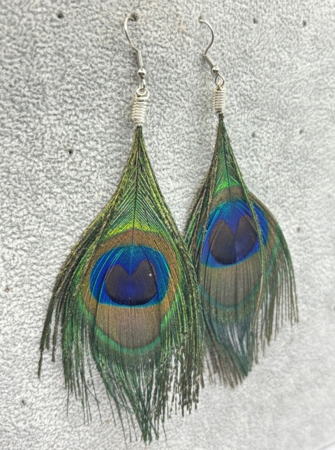 Kolczyki z pióra pawia