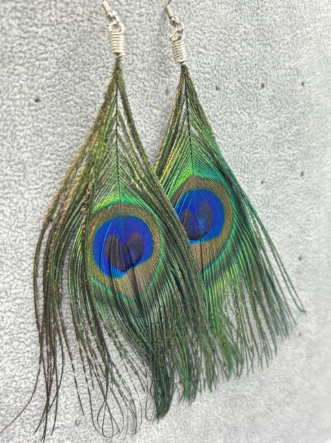 Kolczyki z pióra pawia