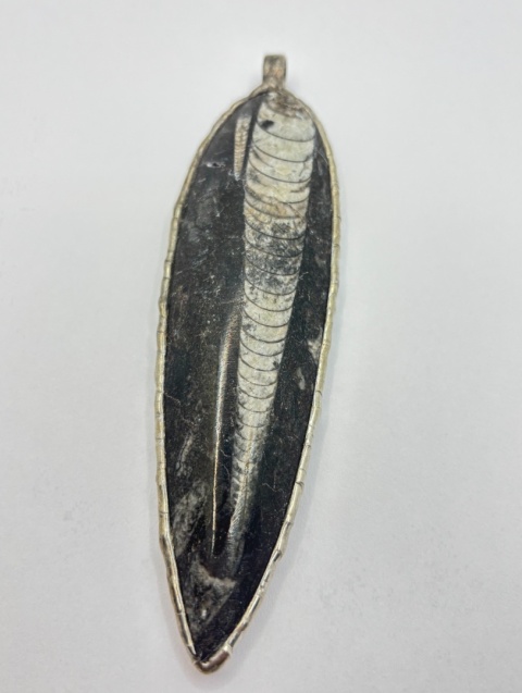 Zawieszka z ortocerasem