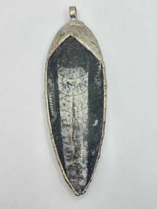 Zawieszka z ortocerasem