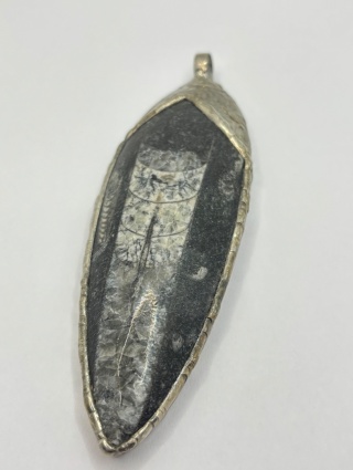 Zawieszka z ortocerasem