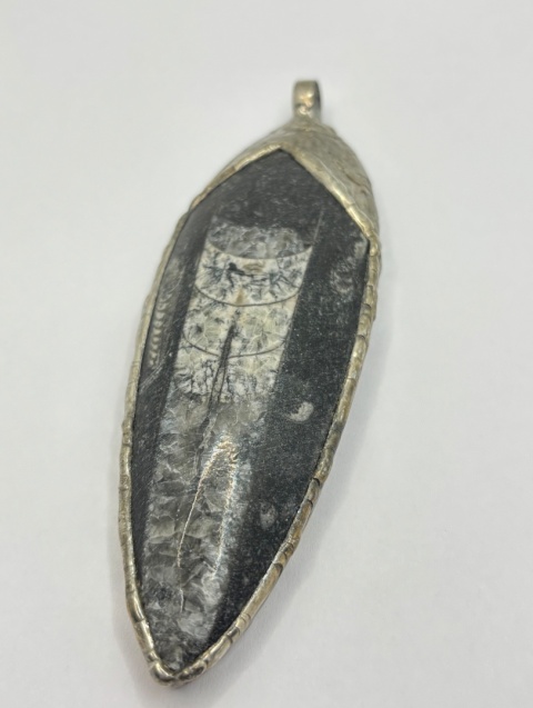 Zawieszka z ortocerasem